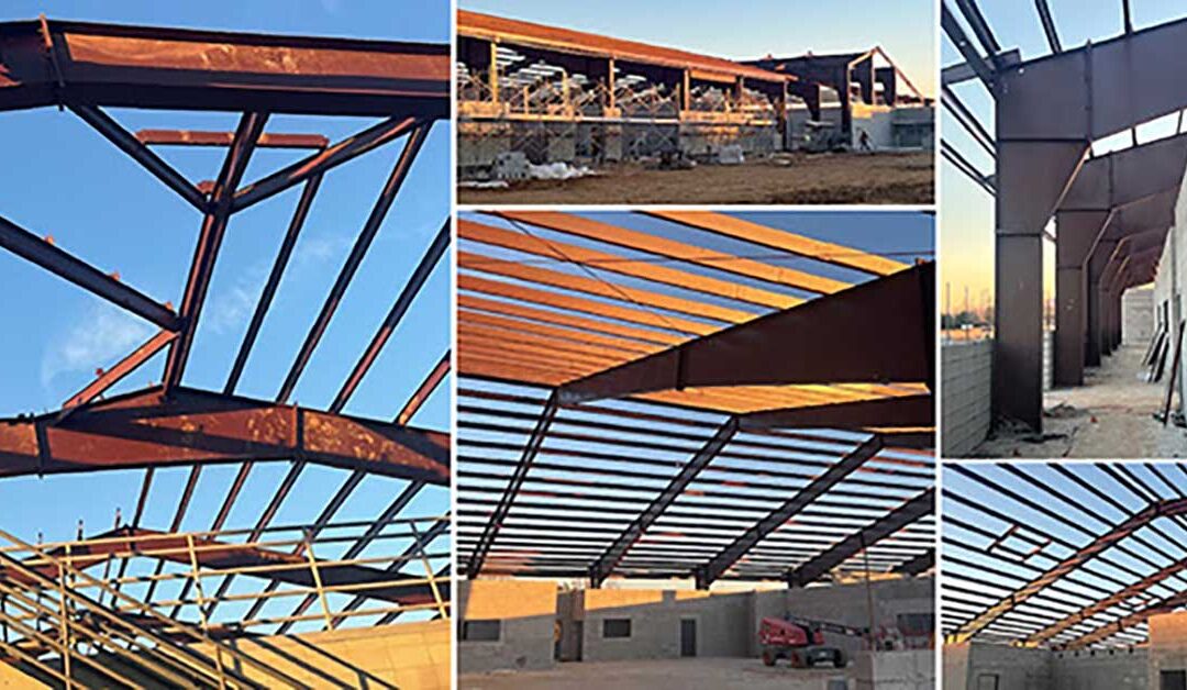 Newsletter September 2025