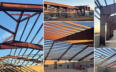 Newsletter September 2025